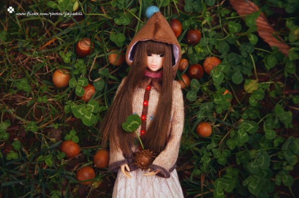 Photo6: Mushroom sweater (6)