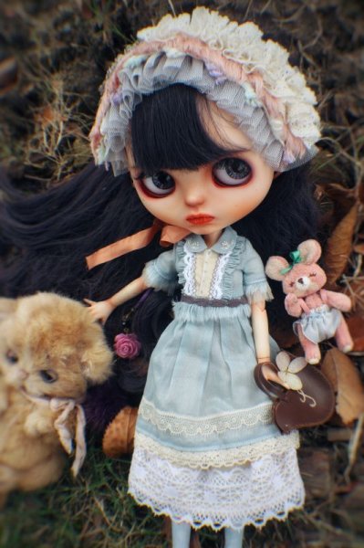 Photo11: coffee leather bird bag of(Forest Girl Set) (11)