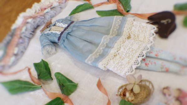 Photo8: coffee leather bird bag of(Forest Girl Set) (8)