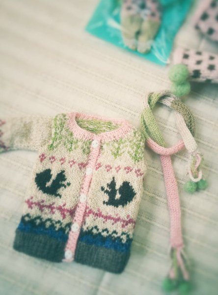 Photo5: coloured squirrel sweater (5)