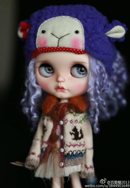 Photo9: coloured squirrel sweater (9)