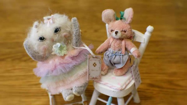 Photo14: Rice cat kaka (14)