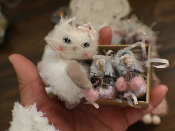 Photo5: Rice cat kaka (5)