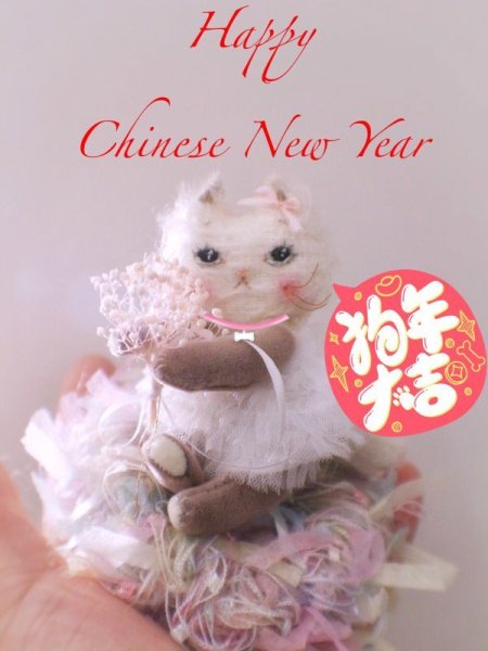 Photo2: Rice cat kaka (2)