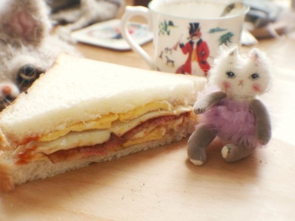 Photo6: Rice cat kaka (6)