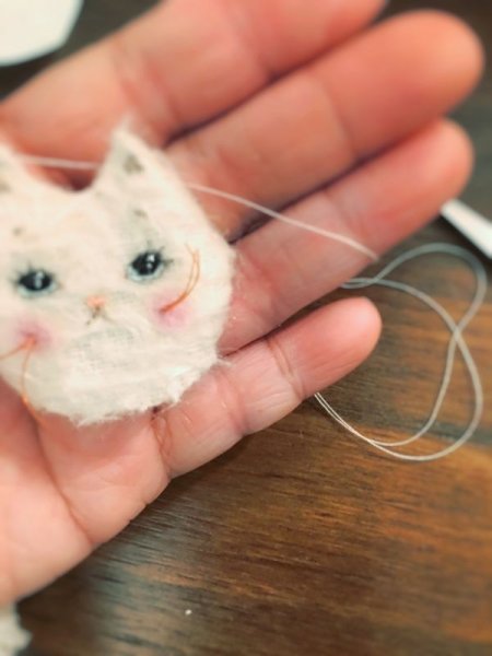 Photo18: Rice cat kaka (18)