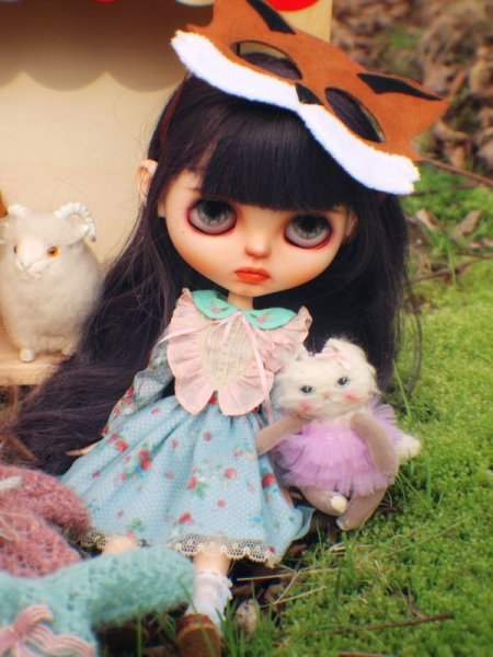 Photo8: Rice cat kaka (8)