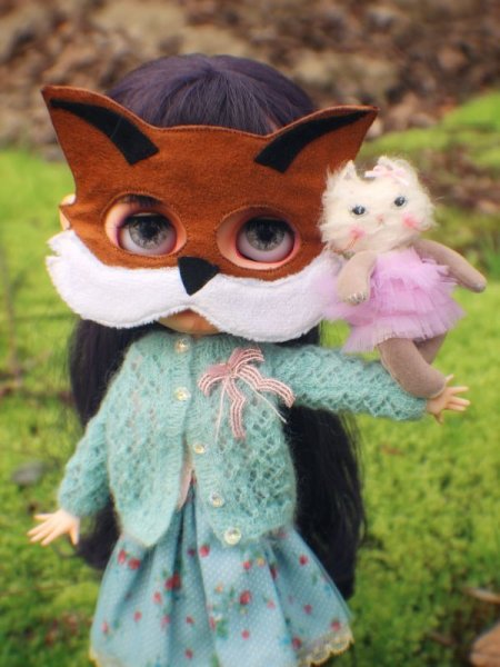 Photo7: Rice cat kaka (7)