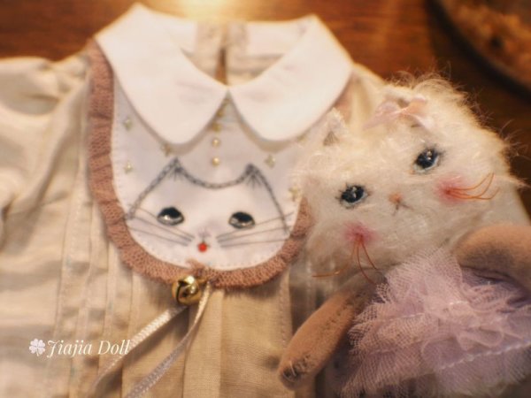 Photo4: Rice cat kaka (4)