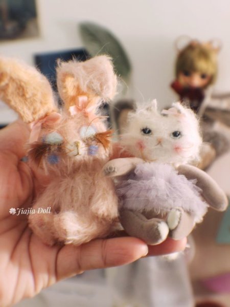 Photo12: Rice cat kaka (12)