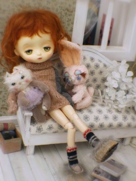 Photo16: Rice cat kaka (16)