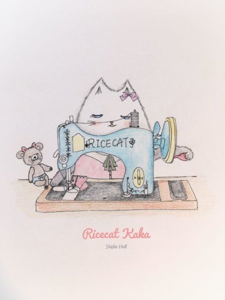 Photo17: Rice cat kaka (17)