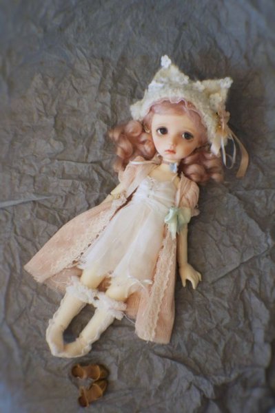 Photo11: warmly kitty flower head band (of The beginning of Dream ) (11)