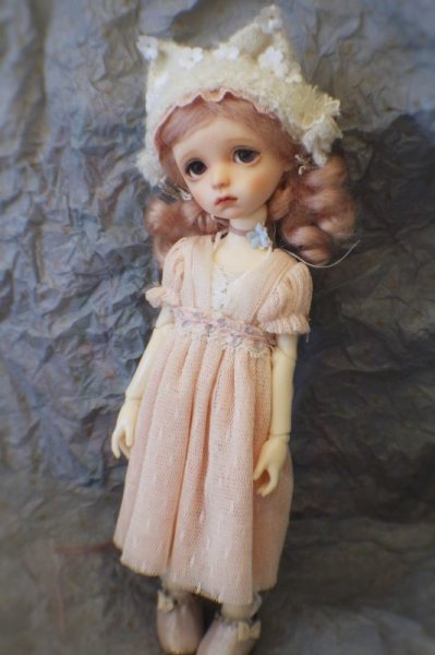 Photo12: warmly kitty flower head band (of The beginning of Dream ) (12)