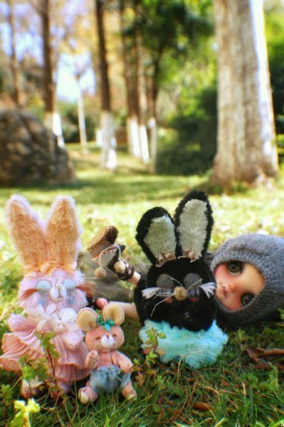Photo15: Sleeping Bunny in soft black (15)