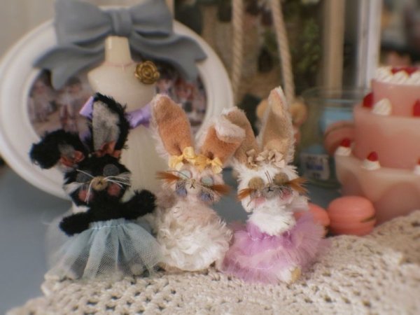 Photo9: Mini Sleeping Bunny in black (9)