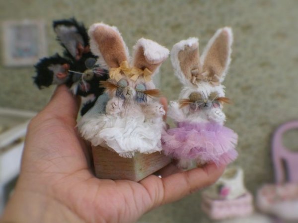 Photo5: Mini Sleeping Bunny in black (5)