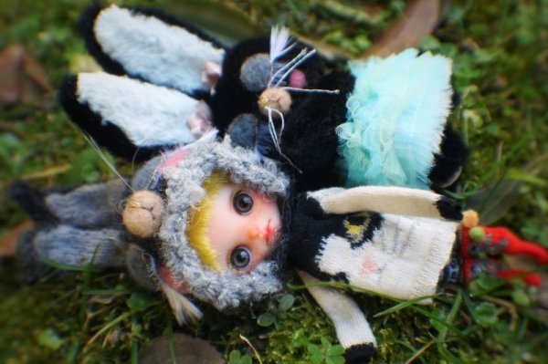 Photo7: Sleeping Bunny in fat black (7)