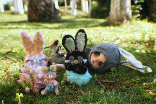 Photo13: Sleeping Bunny in soft black (13)