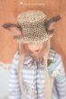 Photo3: Mr rabbit cotton straw hat (3)