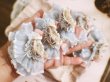 Photo12: pure fairylike white lace bowknots dress (12)
