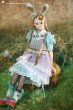 Photo10: light blue ribbon bowknots lace dress（Rabbit Set ） (10)
