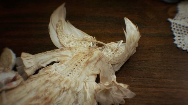 Photo7: vintage angel wings (7)