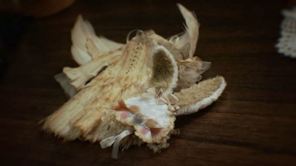 Photo6: vintage angel wings (6)