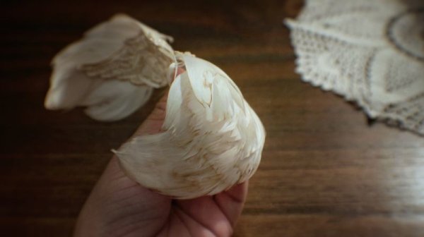 Photo2: vintage angel wings (2)