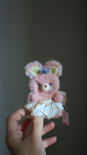 Photo8: sister pink bear  (8)