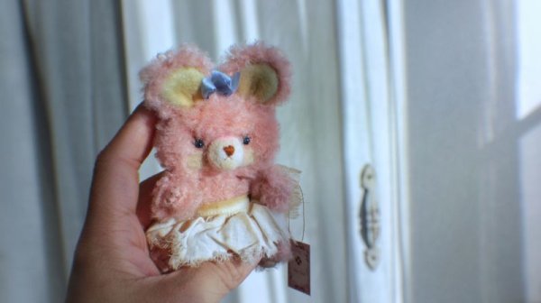 Photo6: sister pink bear  (6)