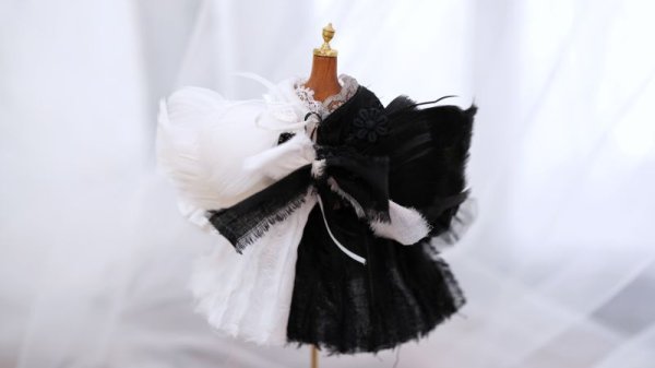 Photo5: Black and white Perfect Angel wings (2 ways to use) (5)