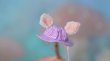 Photo2: violet checked rain hat + deer ears (of Tulips in the Rain) (2)