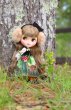 Photo3: Pre-order Neo Blythe Doll " Dear Forest Deer"  (deposit page) (3)