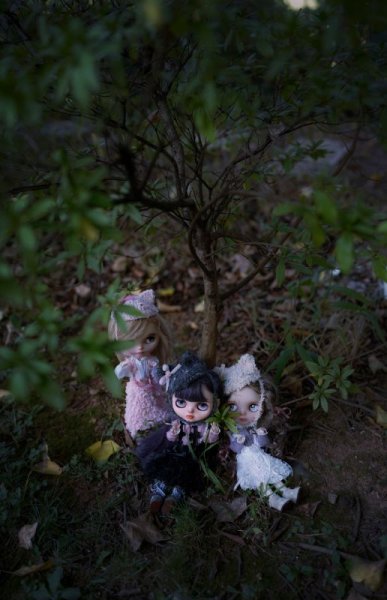 Photo16: Grey handmade kitty snow boots (French Cream Cake Dress in black) (16)