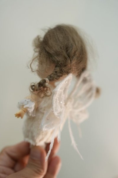 Photo6: White translucent butterfly wings (6)