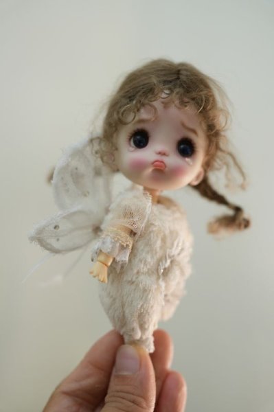 Photo3: White translucent butterfly wings (3)