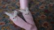 Photo2: long bunny socks in pink (2)